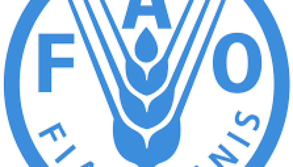 fao National Administrative Assistant Vacancy-Job Ref: ACVNFAO/1002/202472